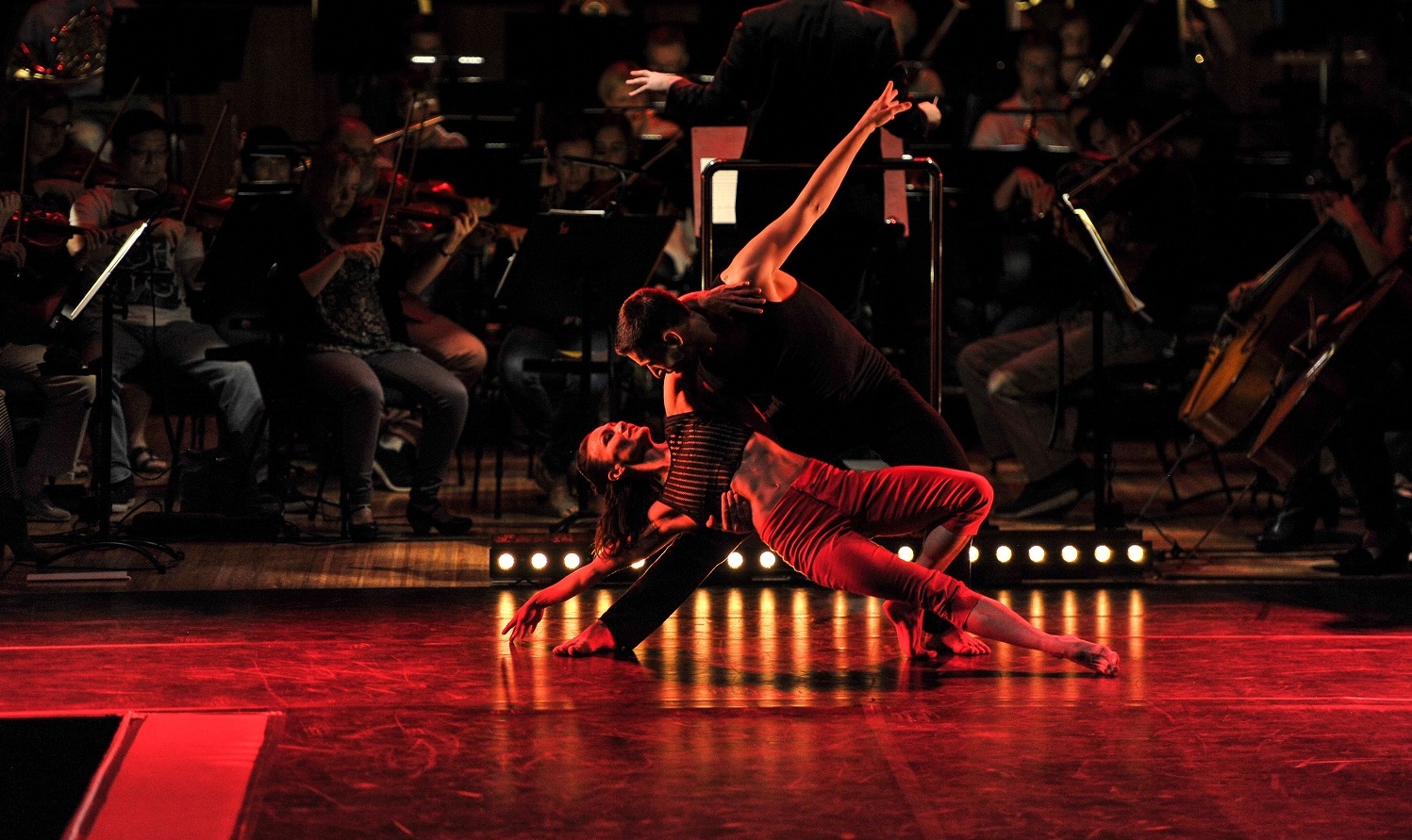 Le Grand Tango in Sydney Dance Informa Magazine