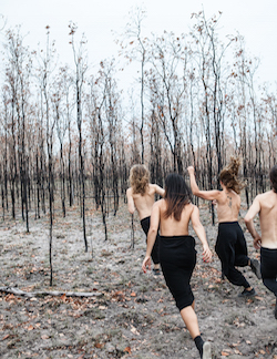 Dancenorth dancers. Photo by Amber Haines.