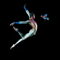 Photo by Rachel Neville.