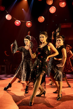 'Strictly Ballroom the Musical'. Photo by Ben Fon.