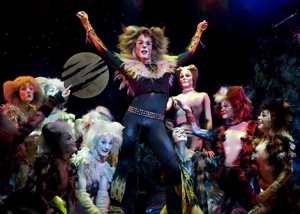 Cats - photographer David Wyatt Photo David Wyatt