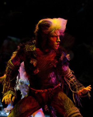Cats - photographer David Wyatt - 05 Photo David Wyatt