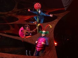 Ovo Cirque du Soleil