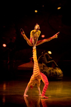 Cirque du Soleil Ovo Cirque du Soleil Ovo