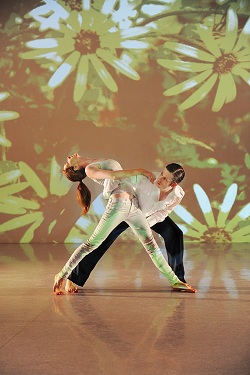 Sue Peacock Reflect Sue Peacock presents contemporary dance work Reflect