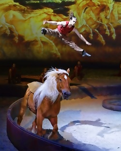 Cavalia in Australia Cavalia