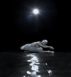 SWAN LAKE, RNZB Royal New Zealand Ballet presents Swan Lake