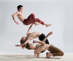 New Zealand School of Dance