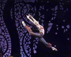 The Australian Ballet's Olivia Bell Australian Ballet principal Olivia Bell