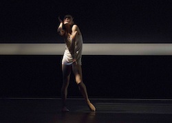SDC Interplay programme