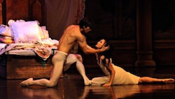 Queensland Ballet