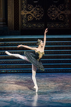 ABT's SwanLake
