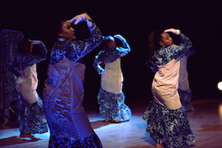 The University of Auckland's 'Contemporary Pacific'