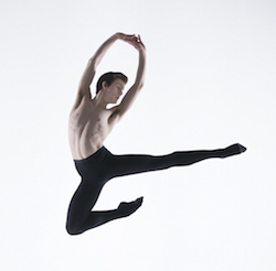 Harrison Lee. Photo by Damien Tierney from Primal Studios.