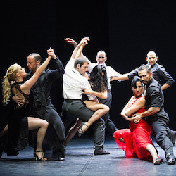 'Milonga' for the Auckland Arts Festival. Photo courtesy of Theatre Jorat.
