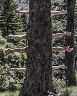 The Beginning of Nature. credit Chris Herzfeld-Camlight Productions.