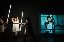 'If It's All in My Viens', choreographed by Martin Hansen. Photo by Gregory Lorenzutti for Dancehouse.