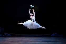 Dancer Lucy Green as Giselle in RNZB's 'Giselle'. Photo by Bill Cooper.