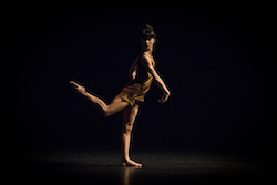 Gabrielle Nankivell's 'Wildebeest'. Photo by Pedro Greig.