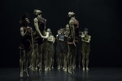 Gabrielle Nankivell's 'Wildebeest'. Photo by Pedro Greig.
