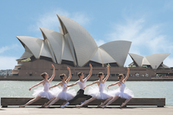 The 2016 Genée International Ballet Competition Final will be held at Sydney Opera House. Photo by Anthony Burns.