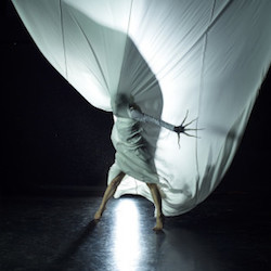A_delicate_situation. photo by Chris Herzfeld, Camlight Productions