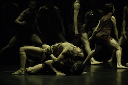 Sydney Dance Company in Gabrielle Nankivell's 'Wildebeest'. Photo by Pedro Greig.
