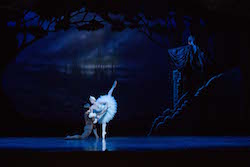 Yanela Pinera and Joel Woellner in Queensland Ballet's 'Swan Lake'. Photo by David Kelly.