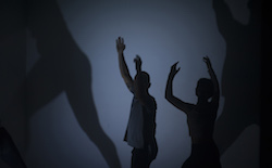 'Nightdance' by Melanie Lane. Photo by Jody Hutchinson.