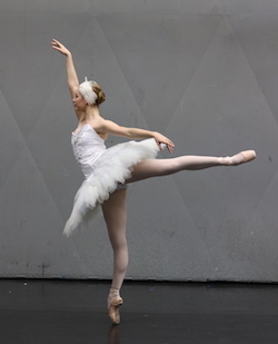 Talia Fidra. Photo courtesy of Queensland Ballet.