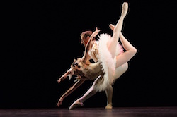 The Australian Ballet. Photo by Samara Clifford.