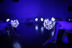 Twisted Element in 'Opus'. Photo courtesy of Twisted Element.