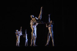 Wayne McGregor's 'Tree of Codes'. Photo by Zan Wimberley.