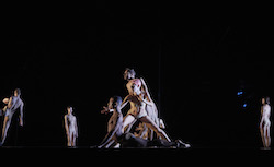 Wayne McGregor's 'Tree of Codes'. Photo by Zan Wimberley.