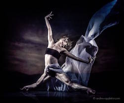 Wild Hearts. Photo by Andrew Appleton.