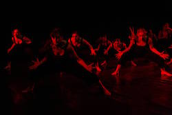 Austinmer Dance Theatre's 'Connect'. Photo by Children of the Revolution.
