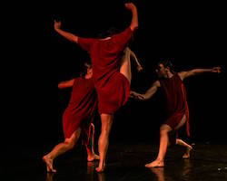 Austinmer Dance Theatre's 'Connect'. Photo by Children of the Revolution.