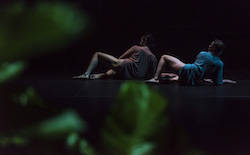 Rhiannon Newton's 'We Make Each Other Up'. Photo by Gregory Lorenzutti for Dancehouse.
