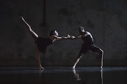 SDC in Rafael Bonachela's 'Frame of Mind'. Photo by Pedro Greig.
