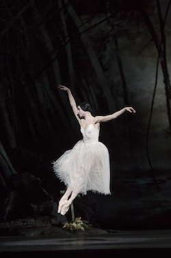 Natalia Osipova as Giselle in 'Giselle'. Photo by Bill Cooper.