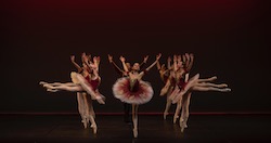Sydney City Youth Ballet. Photo by Daniel Asher Smith.