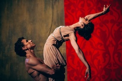The Australian Ballet's Spartacus. Photo by Justin Ridler.
