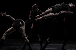 L-E-V Dance Company in 'OCD Love'. Photo by Ron Kedmi.