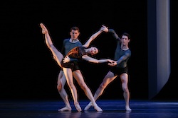 The Australian Ballet. Photo by Jeff Busby.