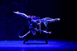 Elise May in 'Behind Closed Doors'. Photo courtesy of Expressions Dance Company.
