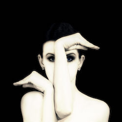 RNZB's 'Black Swan, White Swan'.