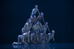 SDC in Melanie Lane's 'WOOF'. Photo by Pedro Greig.