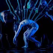 Garry Stewart's 'The Beginning of Nature' by Australian Dance Theatre. Photo by Chris Herzfeld Camlight Productions.