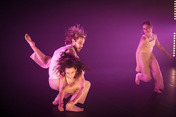 Stephanie Lake's 'Skeleton Tree'. Photo by Pippa Samaya.
