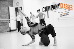 NZDC Company Class.